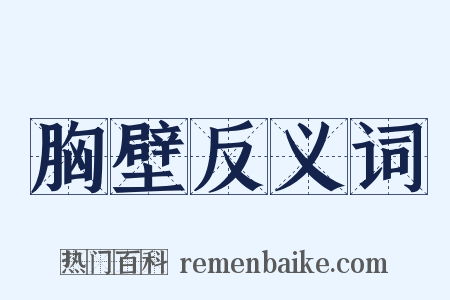 胸壁反义词是什么意思的图片